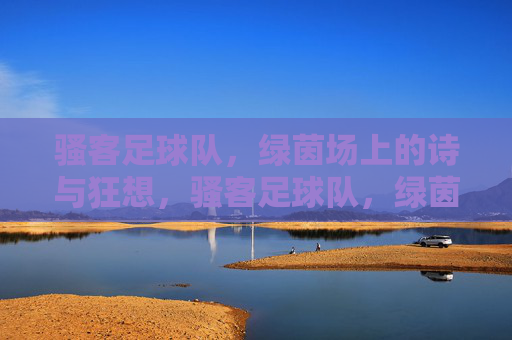 骚客足球队，绿茵场上的诗与狂想，骚客足球队，绿茵场上的诗与狂想
