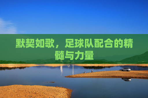 默契如歌，足球队配合的精髓与力量