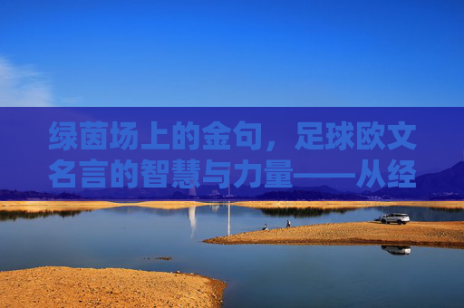 绿茵场上的金句，足球欧文名言的智慧与力量——从经典到现代的箴言传承，绿茵场上的金句，足球欧文名言的智慧与力量——从经典到现代的箴言传承