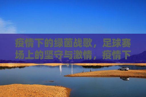 疫情下的绿茵战歌,足球赛场上的坚守与激情,疫情下的绿茵战歌,足球赛场上的坚守与激情