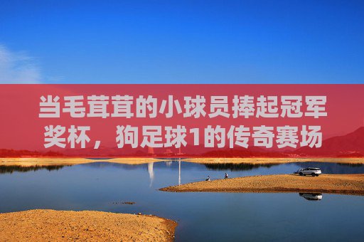当毛茸茸的小球员捧起冠军奖杯,狗足球1的传奇赛场与荣耀时刻