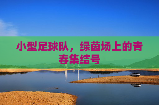 小型足球队,绿茵场上的青春集结号