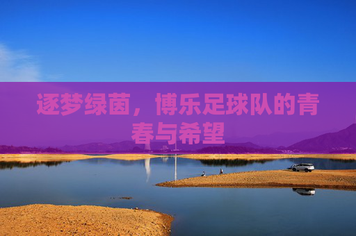 逐梦绿茵,博乐足球队的青春与希望
