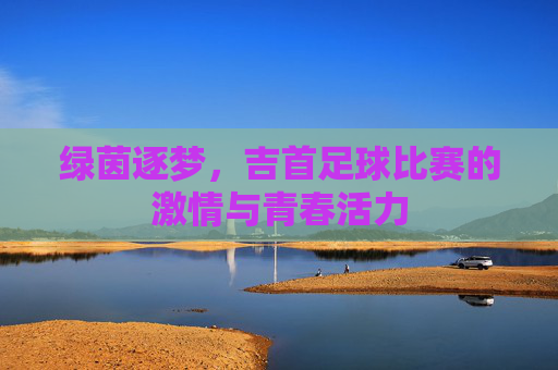 绿茵逐梦,吉首足球比赛的激情与青春活力