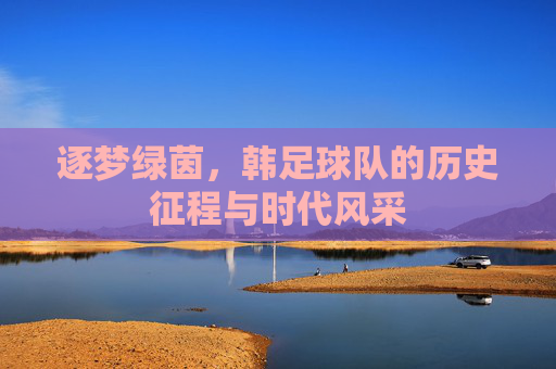 逐梦绿茵，韩足球队的历史征程与时代风采