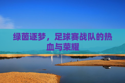 绿茵逐梦，足球赛战队的热血与荣耀