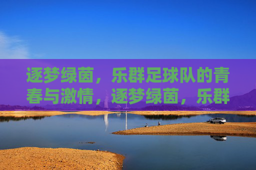 逐梦绿茵，乐群足球队的青春与激情，逐梦绿茵，乐群足球队的青春与激情