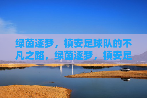 绿茵逐梦，镇安足球队的不凡之路，绿茵逐梦，镇安足球队的不凡之路