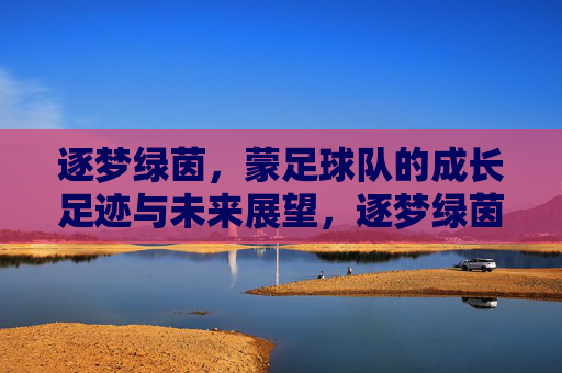 逐梦绿茵,蒙足球队的成长足迹与未来展望,逐梦绿茵,蒙足球队的成长足迹与未来展望