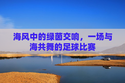 海风中的绿茵交响,一场与海共舞的足球比赛