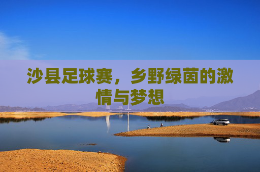 沙县足球赛,乡野绿茵的激情与梦想