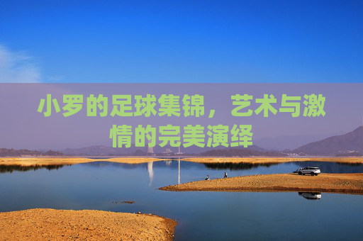 小罗的足球集锦,艺术与激情的完美演绎