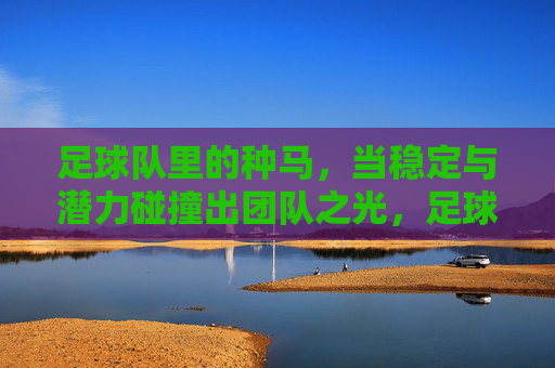 足球队里的种马,当稳定与潜力碰撞出团队之光,足球队里的种马,稳定与潜力碰撞出团队之光