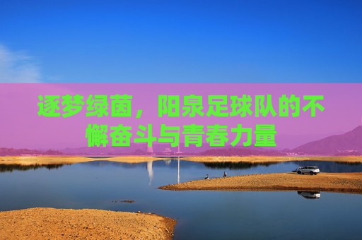 逐梦绿茵，阳泉足球队的不懈奋斗与青春力量