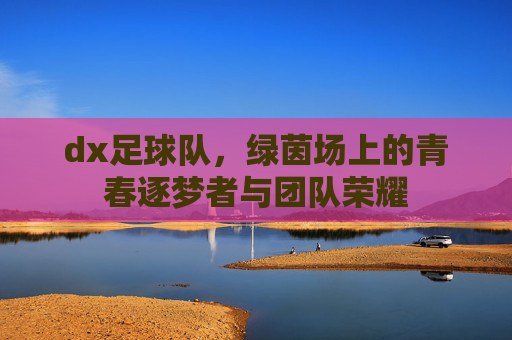 dx足球队，绿茵场上的青春逐梦者与团队荣耀