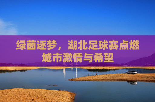 绿茵逐梦,湖北足球赛点燃城市激情与希望