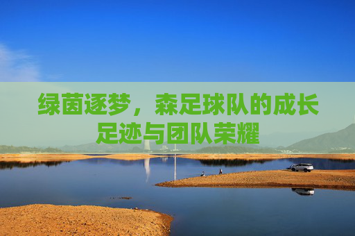 绿茵逐梦，森足球队的成长足迹与团队荣耀