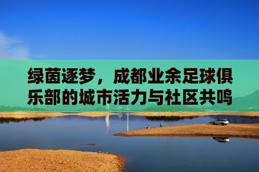 绿茵逐梦，成都业余足球俱乐部的城市活力与社区共鸣
