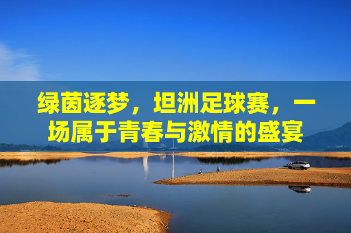 绿茵逐梦,坦洲足球赛,一场属于青春与激情的盛宴