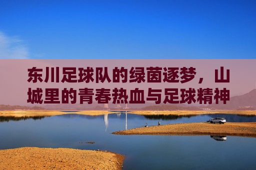东川足球队的绿茵逐梦,山城里的青春热血与足球精神