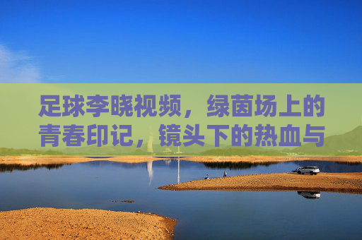 足球李晓视频,绿茵场上的青春印记,镜头下的热血与坚持