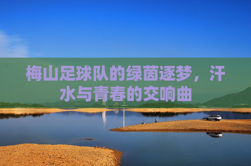 梅山足球队的绿茵逐梦,汗水与青春的交响曲