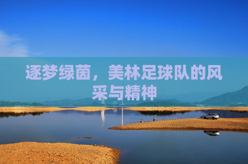 逐梦绿茵，美林足球队的风采与精神