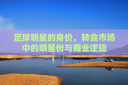 足球明星的身价,转会市场中的明星份与商业逻辑
