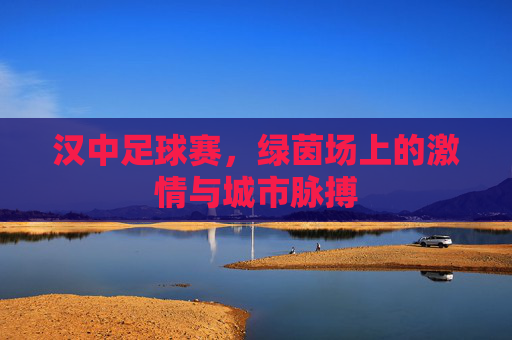 汉中足球赛，绿茵场上的激情与城市脉搏