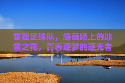 雪莲足球队,绿茵场上的冰雪之花,青春逐梦的逐光者