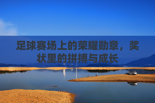 足球赛场上的荣耀勋章，奖状里的拼搏与成长