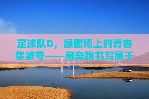 足球队D,绿茵场上的青春集结号——用奔跑书写属于我们的足球故事,足球队D,绿茵场上的青春集结号——用奔跑书写属于我们的足球故事