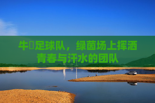 牛犇足球队,绿茵场上挥洒青春与汗水的团队