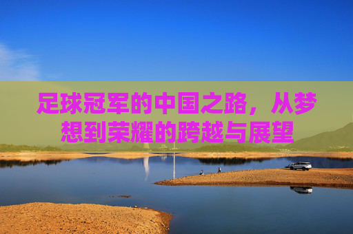 足球冠军的中国之路,从梦想到荣耀的跨越与展望