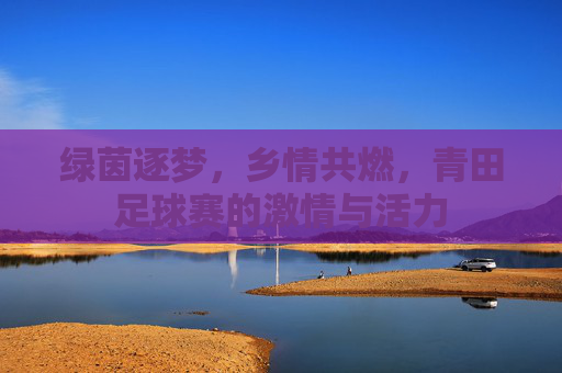 绿茵逐梦，乡情共燃，青田足球赛的激情与活力