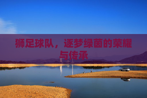 狮足球队，逐梦绿茵的荣耀与传承