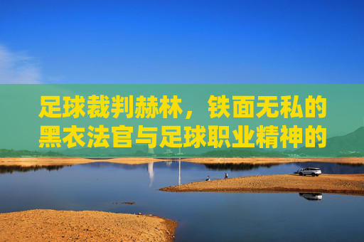 足球裁判赫林,铁面无私的黑衣法官与足球职业精神的典范,足球裁判赫林,铁面无私的黑衣法官与足球职业精神的典范