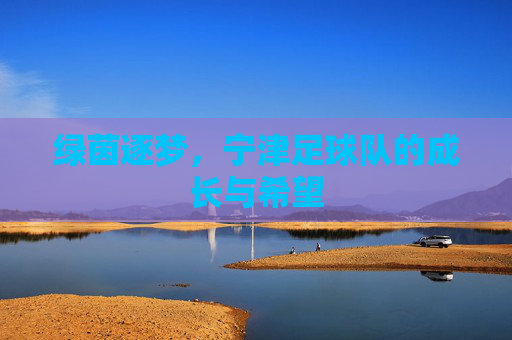 绿茵逐梦,宁津足球队的成长与希望