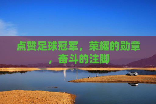 点赞足球冠军,荣耀的勋章,奋斗的注脚