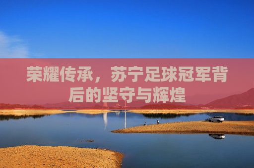 荣耀传承,苏宁足球冠军背后的坚守与辉煌