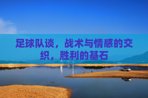 足球队谈,战术与情感的交织,胜利的基石