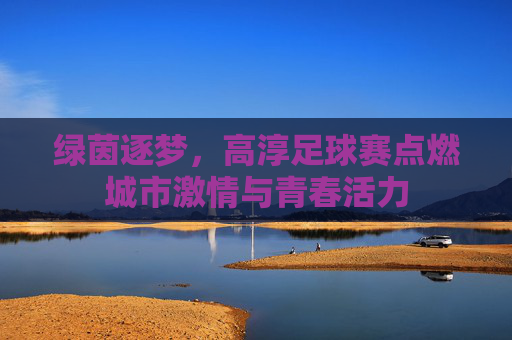 绿茵逐梦,高淳足球赛点燃城市激情与青春活力