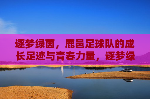 逐梦绿茵，鹿邑足球队的成长足迹与青春力量，逐梦绿茵，鹿邑足球队的成长足迹与青春力量