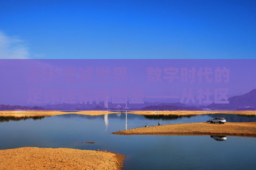虎扑足球世界,数字时代的足球迷精神图鉴——从社区共鸣到全球足球文化的数字桥梁