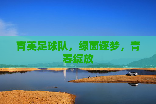 育英足球队,绿茵逐梦,青春绽放