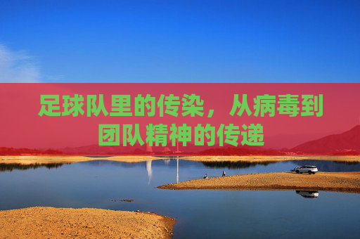 足球队里的传染,从病毒到团队精神的传递