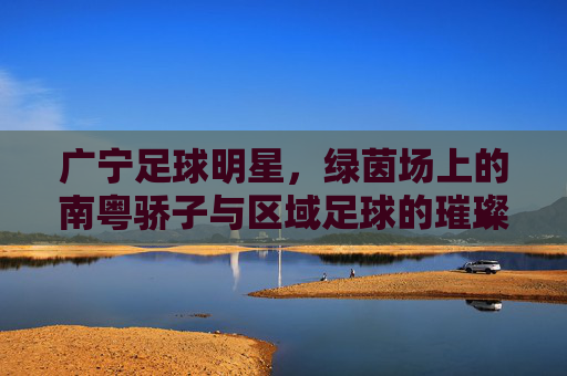 广宁足球明星,绿茵场上的南粤骄子与区域足球的璀璨星河