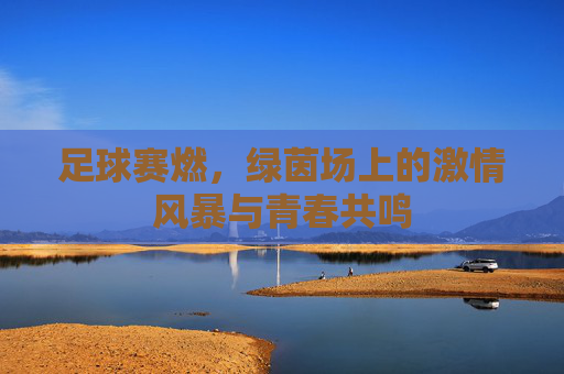 足球赛燃,绿茵场上的激情风暴与青春共鸣