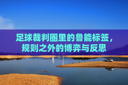 足球裁判圈里的鲁能标签，规则之外的博弈与反思