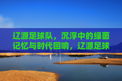 辽源足球队,沉浮中的绿茵记忆与时代回响,辽源足球队,沉浮中的绿茵记忆与时代回响